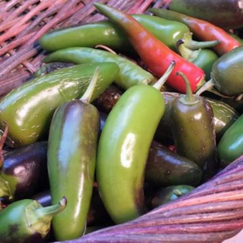Great Super Bowl Guacamole Dip